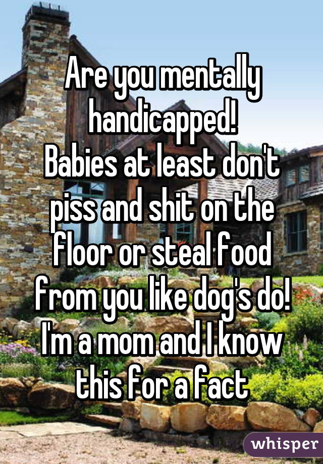Are you mentally handicapped!
Babies at least don't piss and shit on the floor or steal food from you like dog's do!
I'm a mom and I know this for a fact