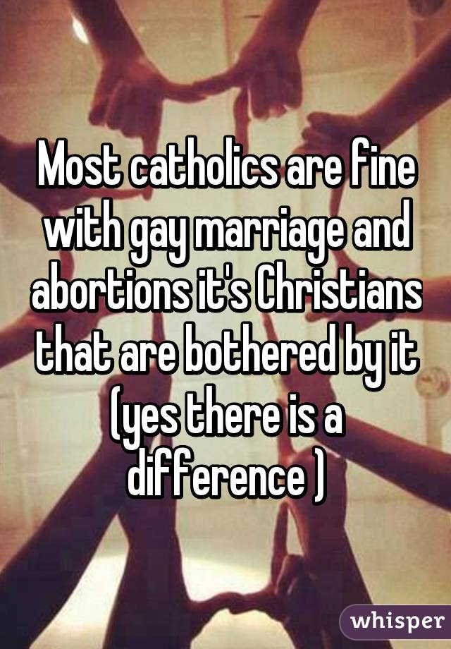 Most catholics are fine with gay marriage and abortions it's Christians that are bothered by it (yes there is a difference )