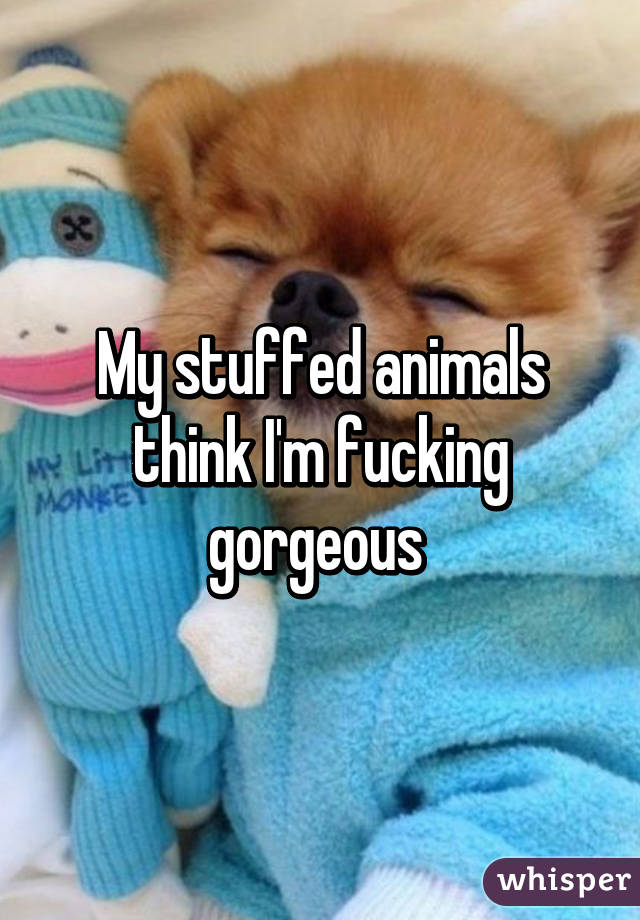 My stuffed animals think I'm fucking gorgeous 