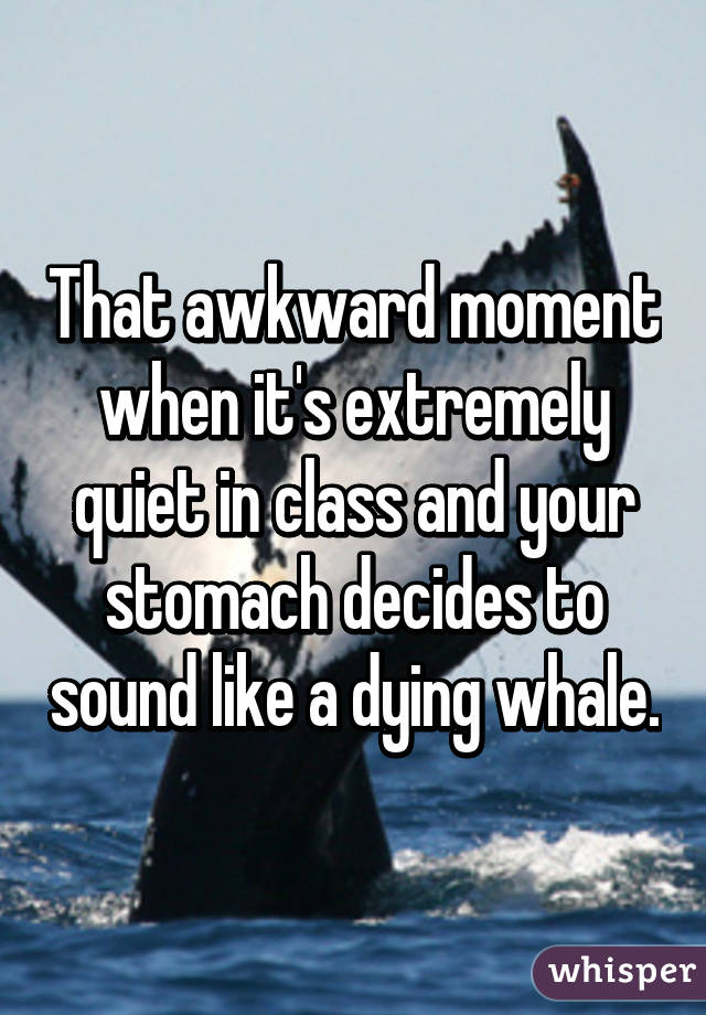 That awkward moment when it's extremely quiet in class and your stomach decides to sound like a dying whale.