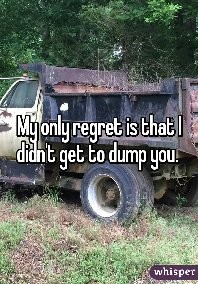 My only regret is that I didn't get to dump you. 