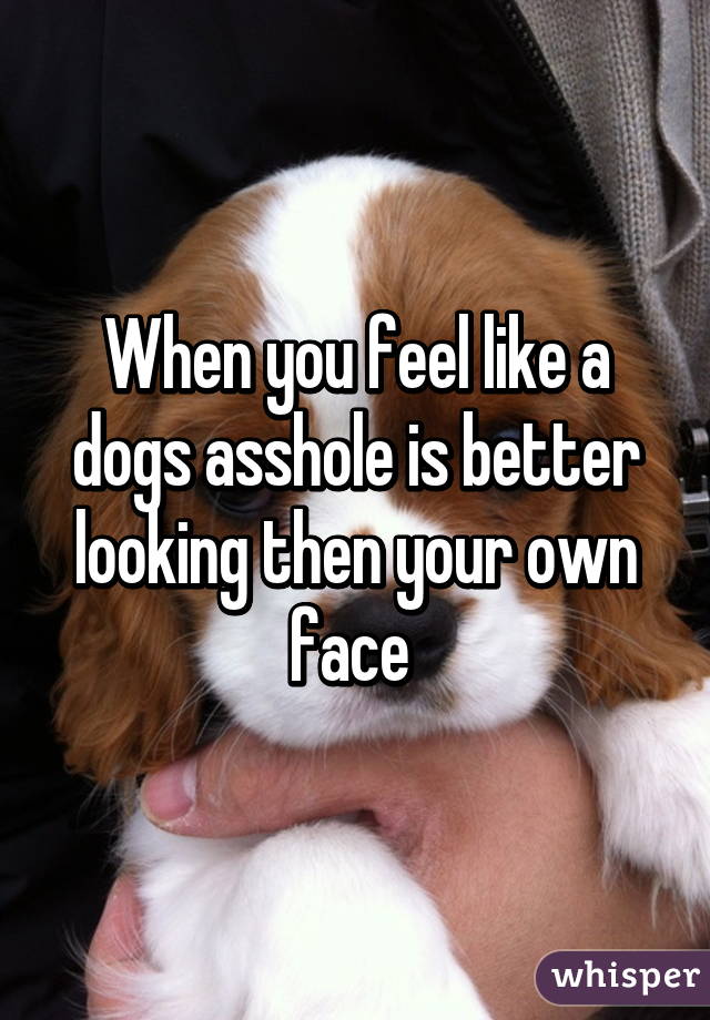 When you feel like a dogs asshole is better looking then your own face 