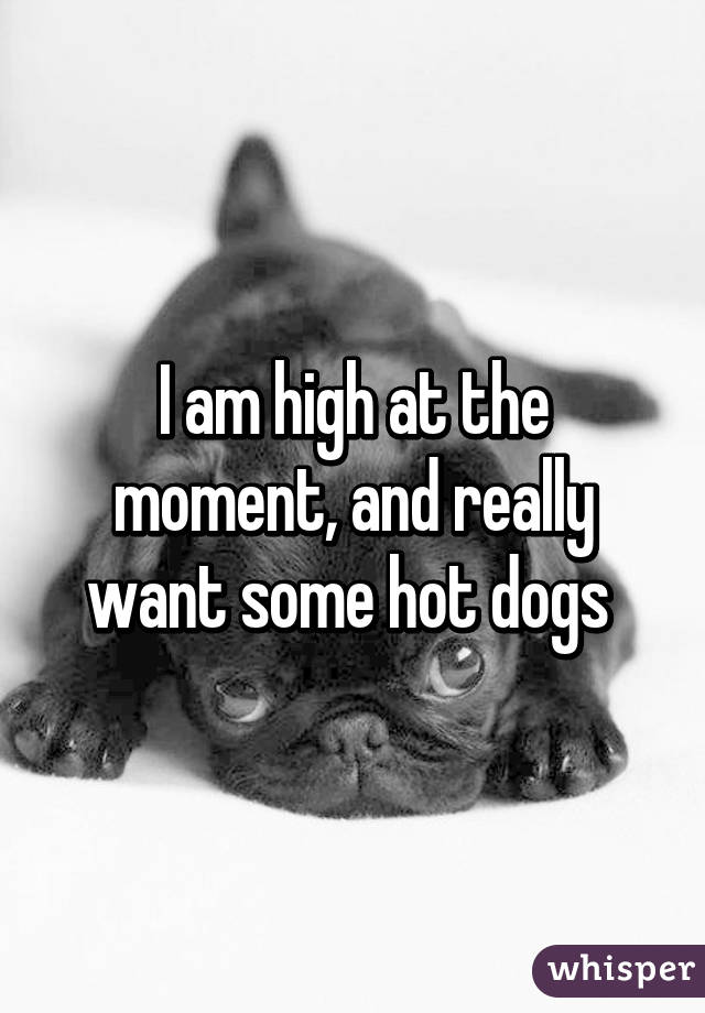 I am high at the moment, and really want some hot dogs 