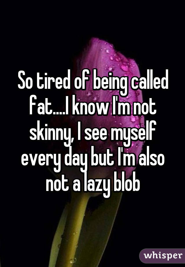 So tired of being called fat....I know I'm not skinny, I see myself every day but I'm also not a lazy blob
