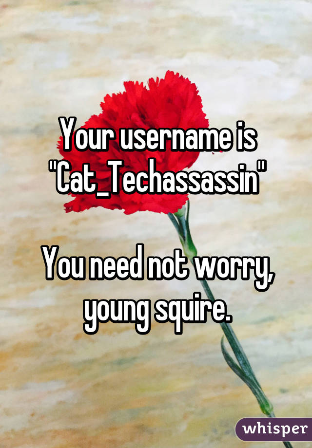 Your username is
"Cat_Techassassin"

You need not worry, young squire.