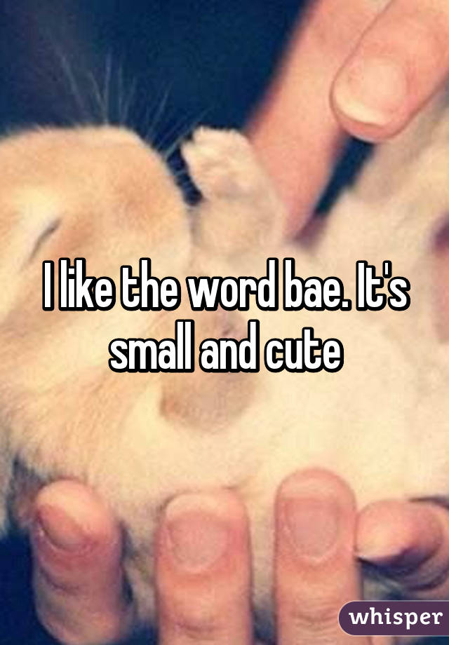 I like the word bae. It's small and cute