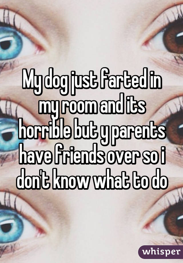 My dog just farted in my room and its horrible but y parents have friends over so i don't know what to do