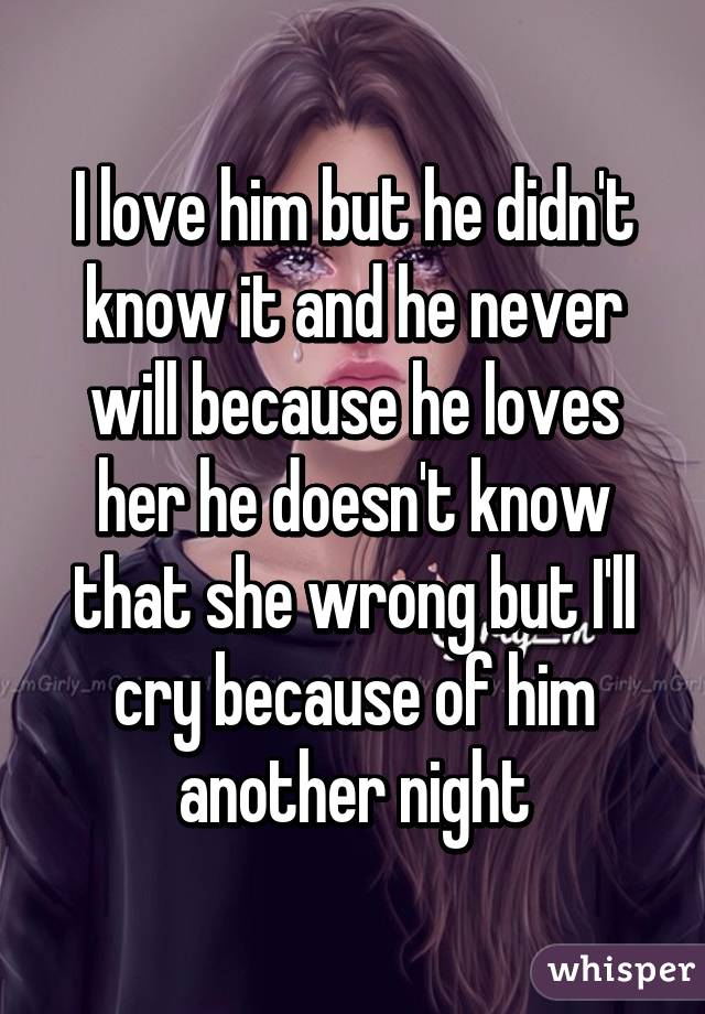 I love him but he didn't know it and he never will because he loves her he doesn't know that she wrong but I'll cry because of him another night