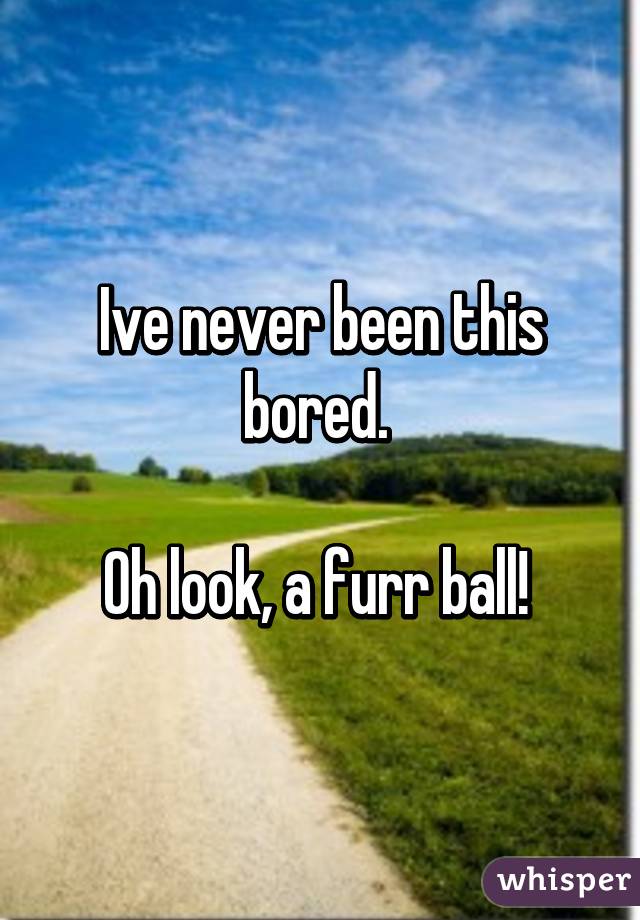 Ive never been this bored. 

Oh look, a furr ball! 