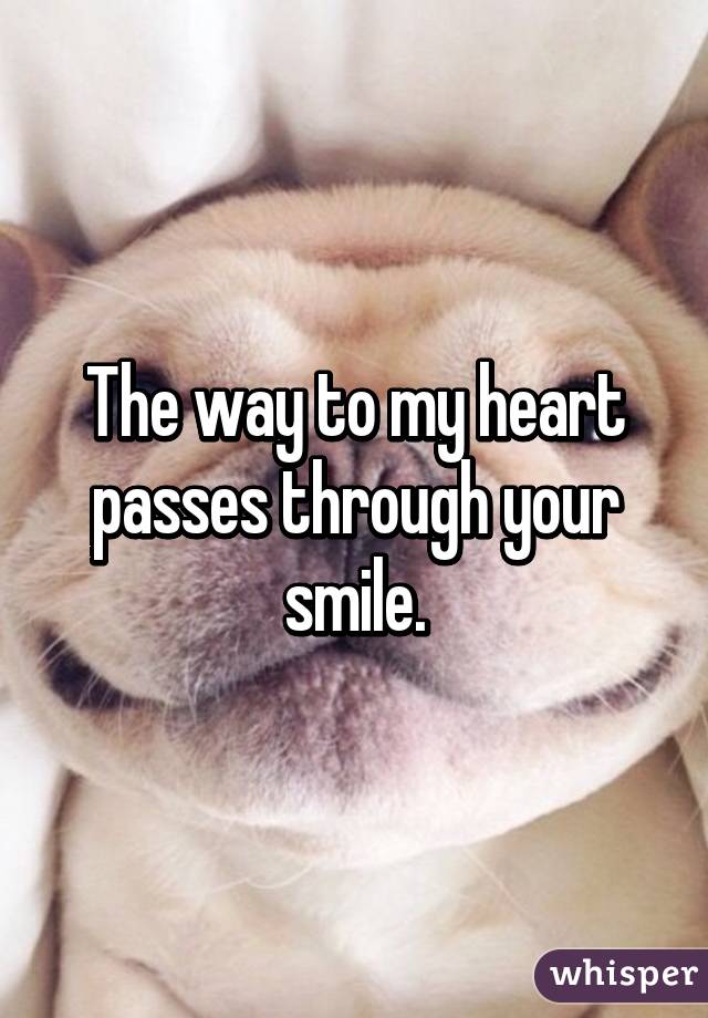 The way to my heart passes through your smile.