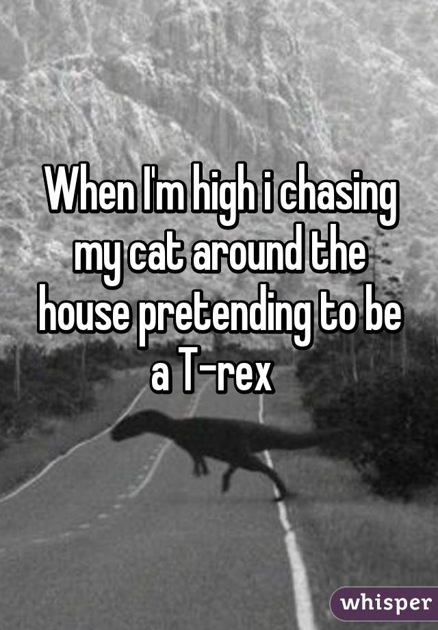 When I'm high i chasing my cat around the house pretending to be a T-rex  
