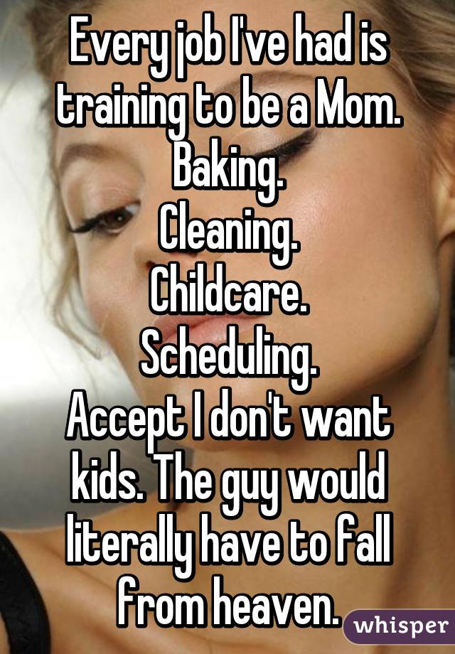 Every job I've had is training to be a Mom.
Baking.
Cleaning.
Childcare.
Scheduling.
Accept I don't want kids. The guy would literally have to fall from heaven.