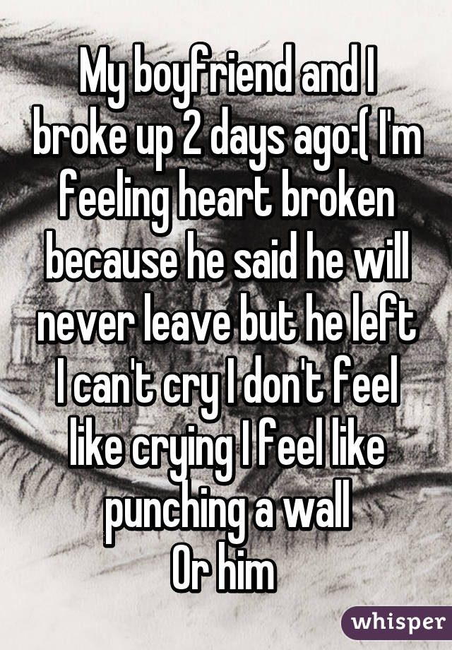 My boyfriend and I broke up 2 days ago:( I'm feeling heart broken because he said he will never leave but he left
I can't cry I don't feel like crying I feel like punching a wall
Or him 