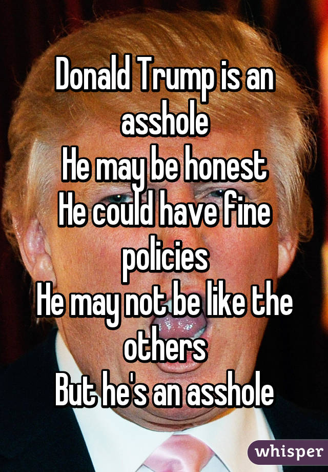 Donald Trump is an asshole
He may be honest
He could have fine policies
He may not be like the others
But he's an asshole