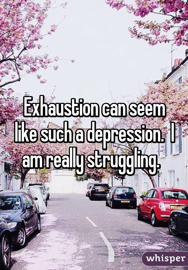 Exhaustion can seem like such a depression.  I am really struggling.  