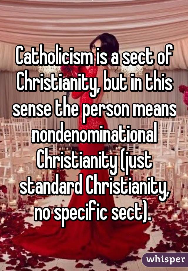 Catholicism is a sect of Christianity, but in this sense the person means nondenominational Christianity (just standard Christianity, no specific sect). 