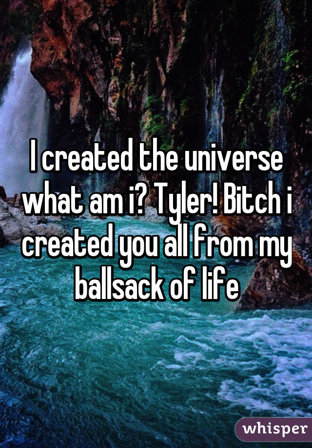 I created the universe what am i? Tyler! Bitch i created you all from my ballsack of life