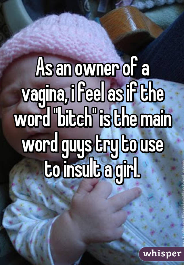 As an owner of a vagina, i feel as if the word "bitch" is the main word guys try to use to insult a girl.
