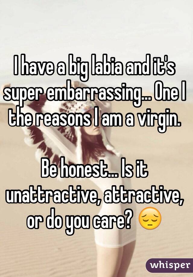I have a big labia and it's super embarrassing... One I the reasons I am a virgin.

Be honest... Is it unattractive, attractive, or do you care? 😔