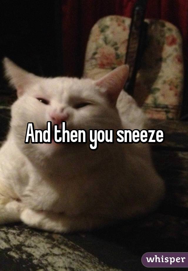 And then you sneeze