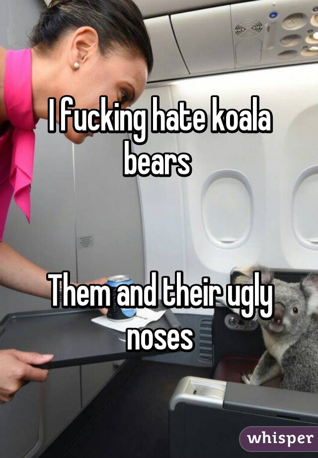 I fucking hate koala bears 


Them and their ugly noses