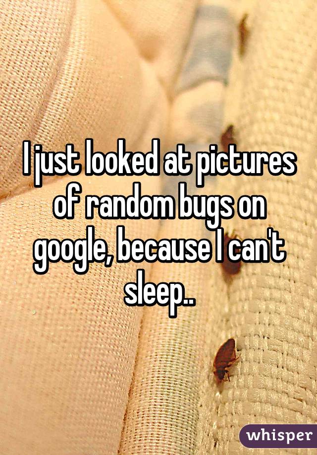 I just looked at pictures of random bugs on google, because I can't sleep..