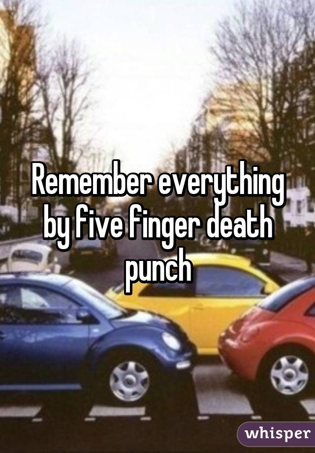 Remember everything by five finger death punch