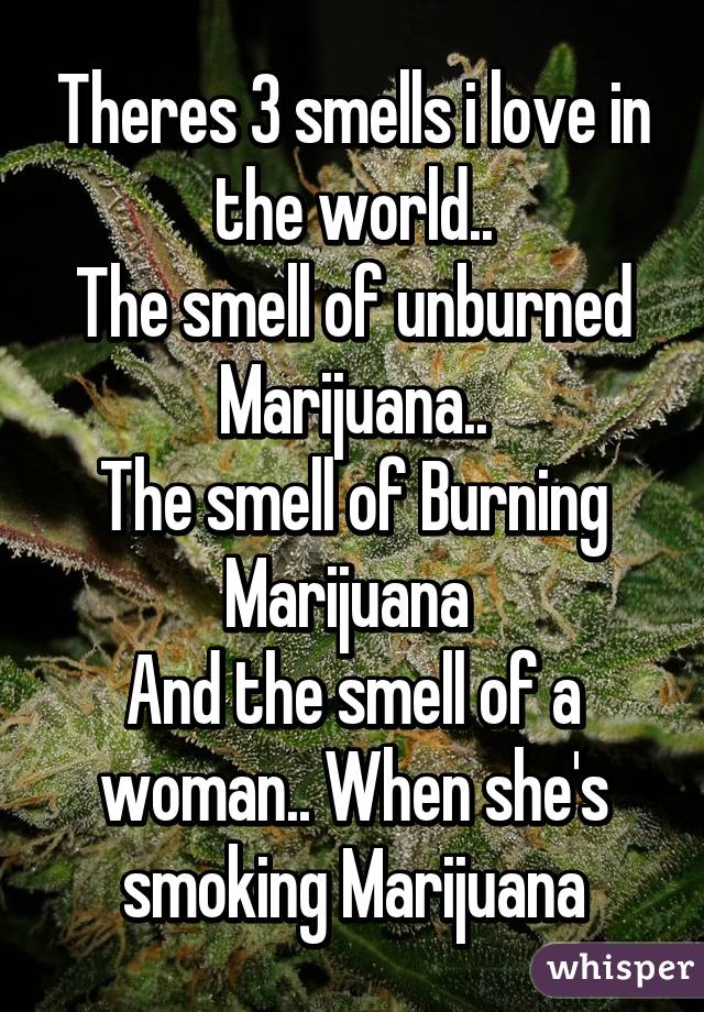 Theres 3 smells i love in the world..
The smell of unburned Marijuana..
The smell of Burning Marijuana 
And the smell of a woman.. When she's smoking Marijuana