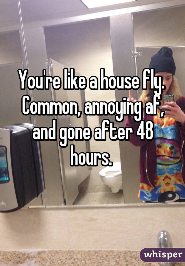 You're like a house fly. 
Common, annoying af, and gone after 48 hours. 

