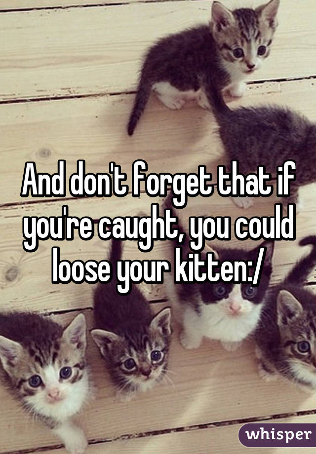 And don't forget that if you're caught, you could loose your kitten:/