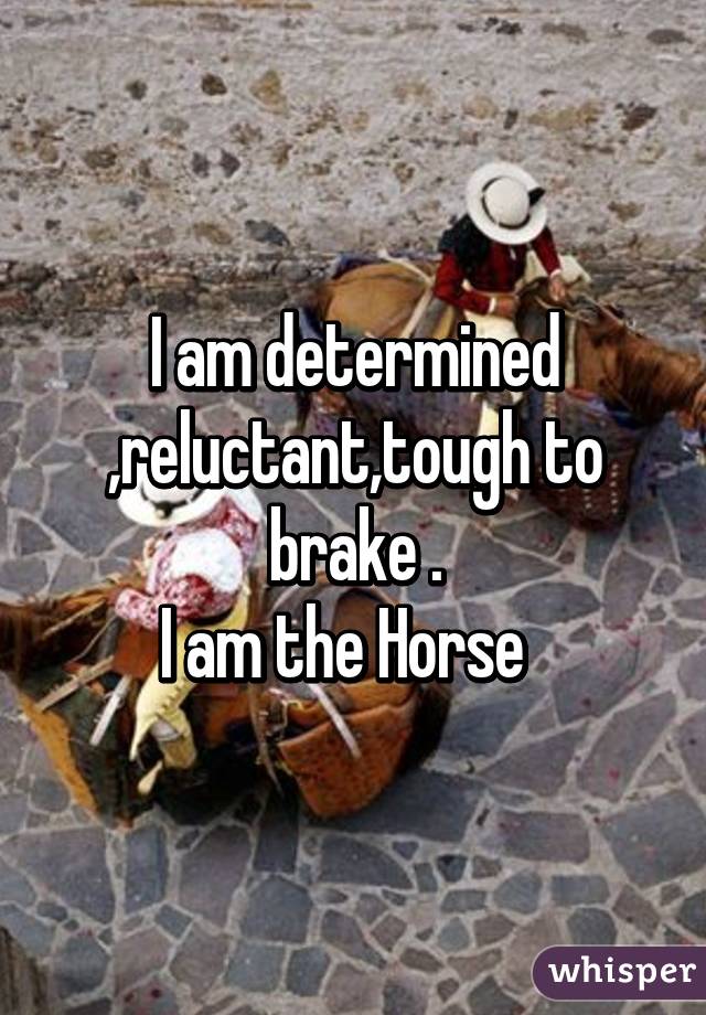 I am determined ,reluctant,tough to brake .
I am the Horse  