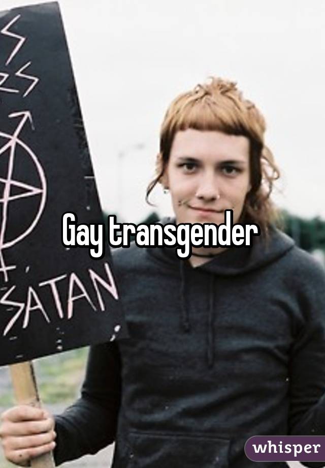 Gay transgender 