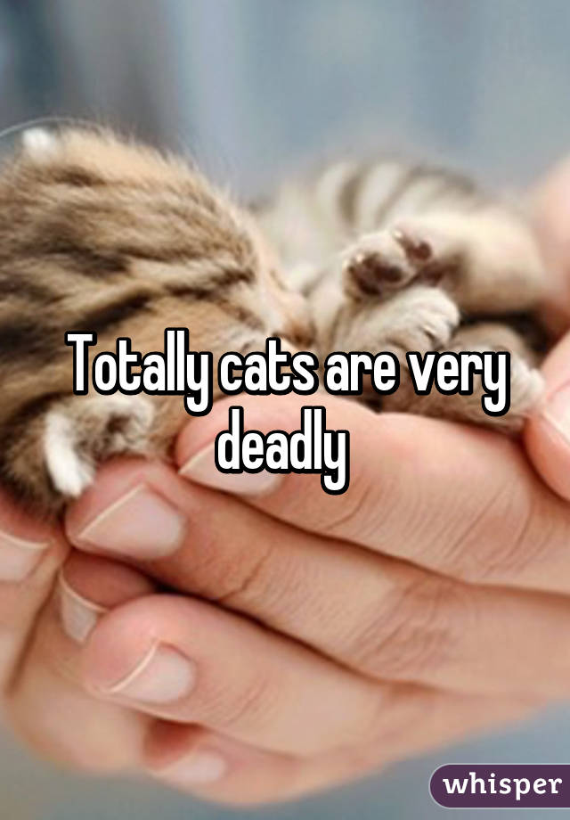 Totally cats are very deadly 