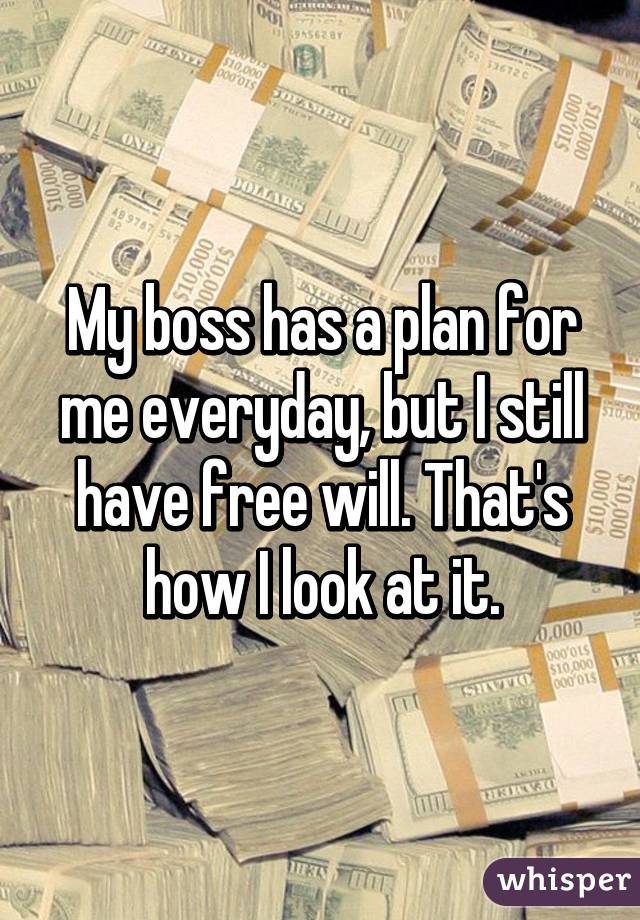 My boss has a plan for me everyday, but I still have free will. That's how I look at it.
