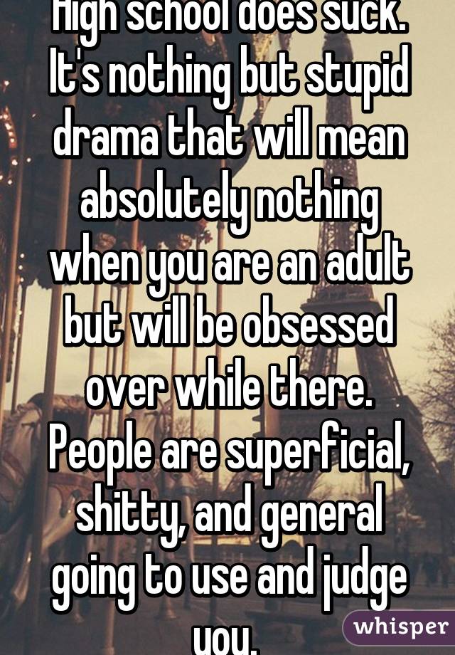 High school does suck. It's nothing but stupid drama that will mean absolutely nothing when you are an adult but will be obsessed over while there. People are superficial, shitty, and general going to use and judge you. 