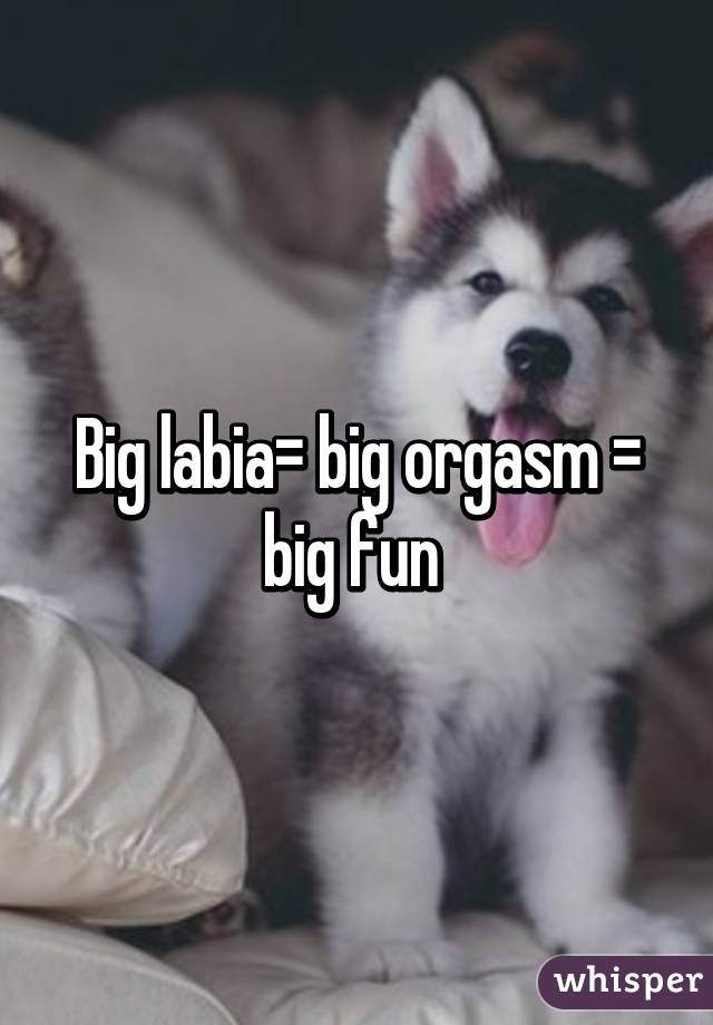 Big labia= big orgasm = big fun 