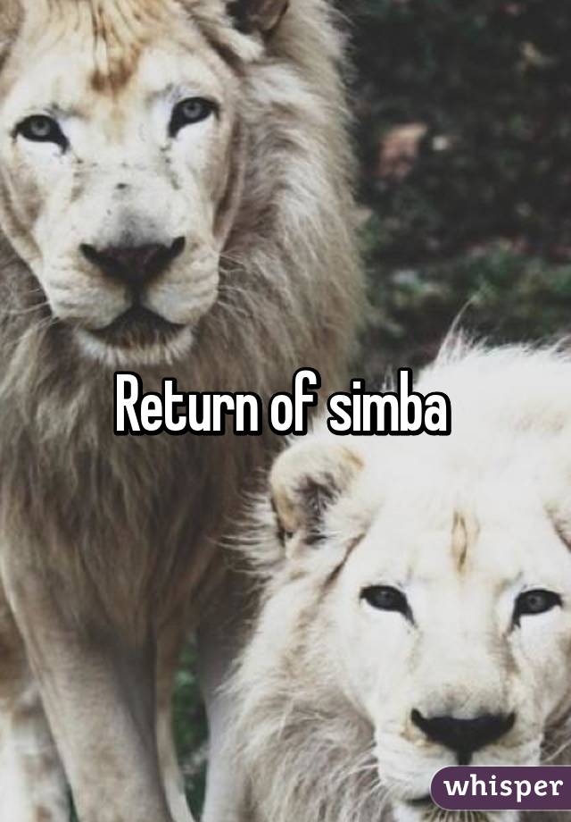 Return of simba 