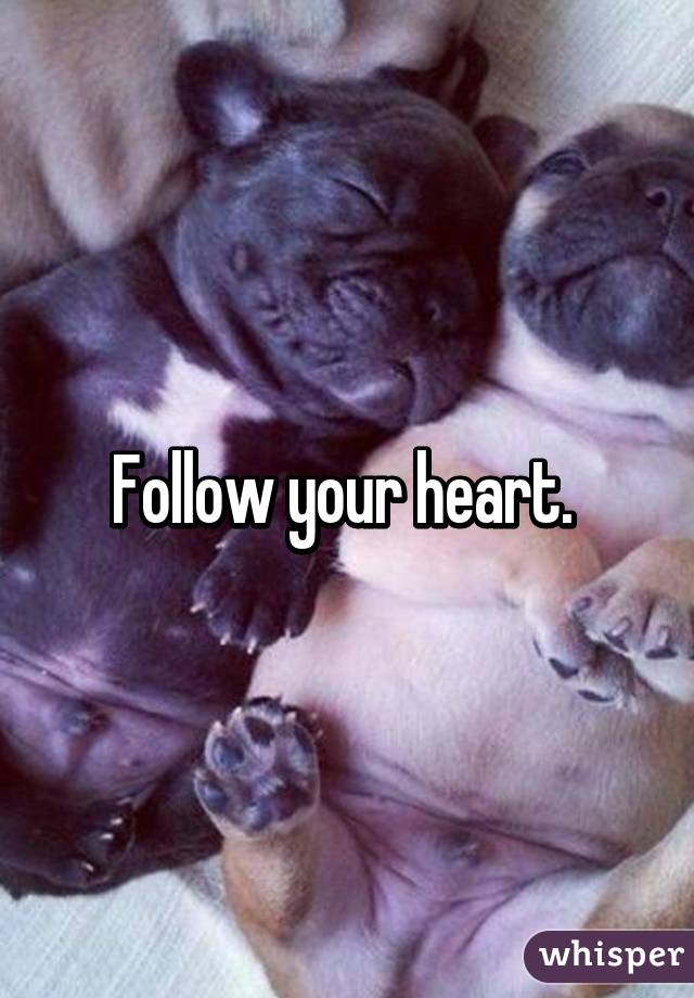 Follow your heart. 