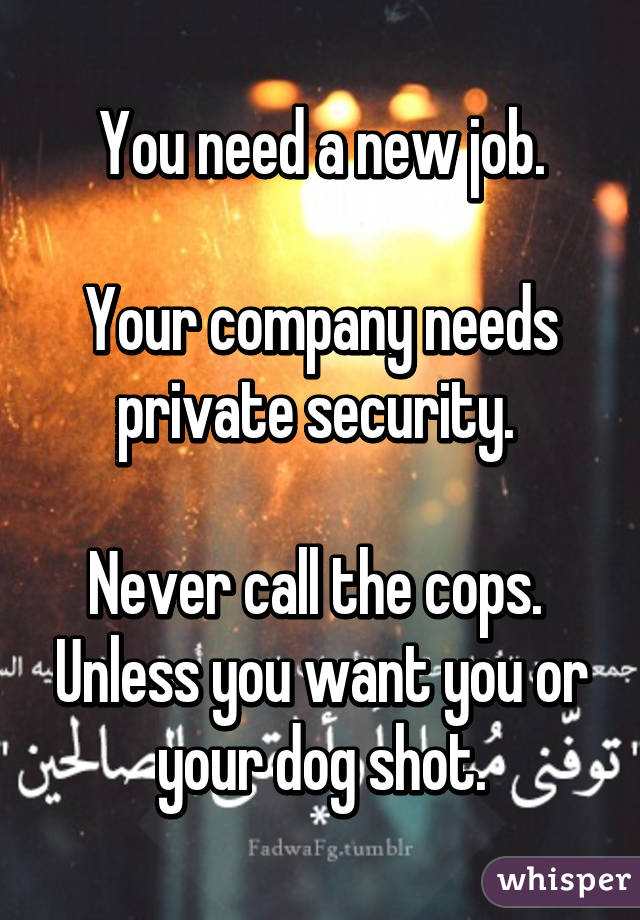 You need a new job.

Your company needs private security. 

Never call the cops.  Unless you want you or your dog shot.