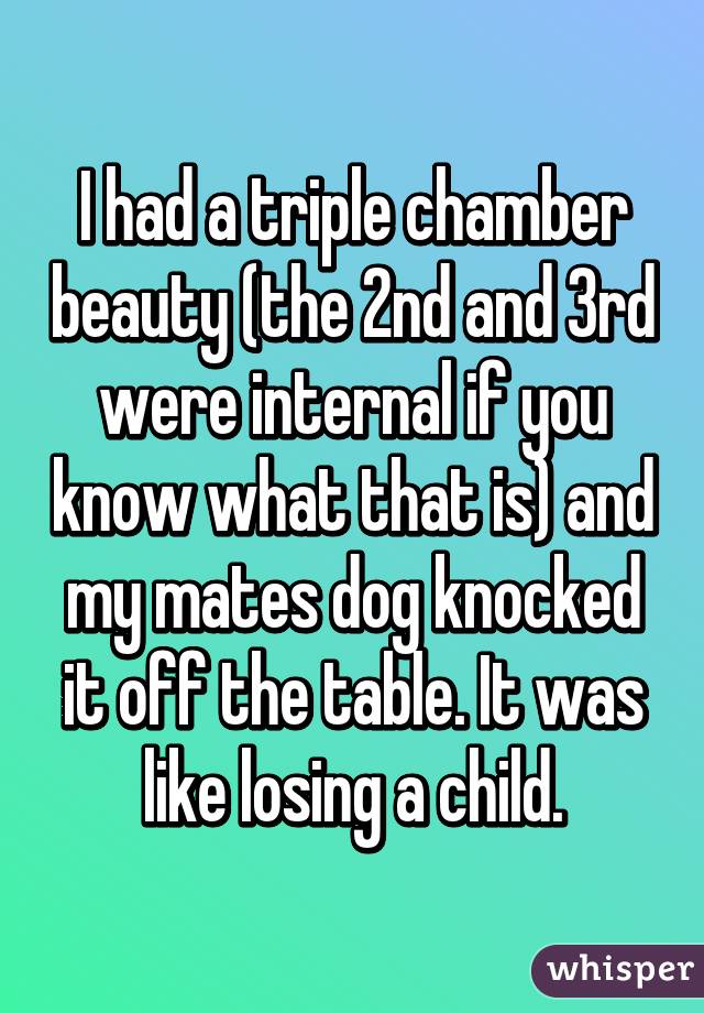 I had a triple chamber beauty (the 2nd and 3rd were internal if you know what that is) and my mates dog knocked it off the table. It was like losing a child.
