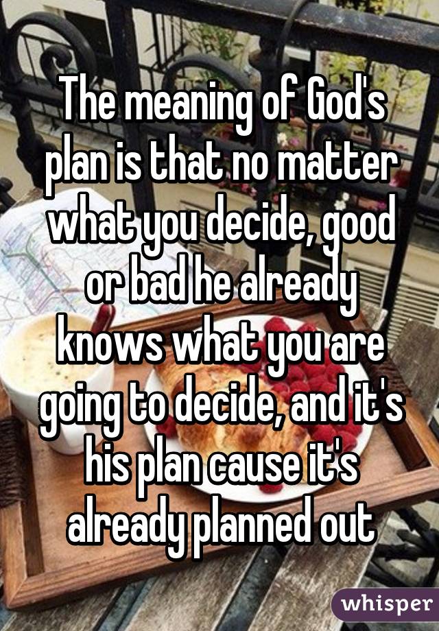 The meaning of God's plan is that no matter what you decide, good or bad he already knows what you are going to decide, and it's his plan cause it's already planned out