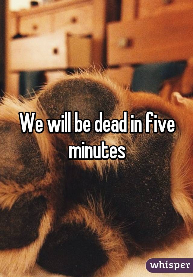 We will be dead in five minutes