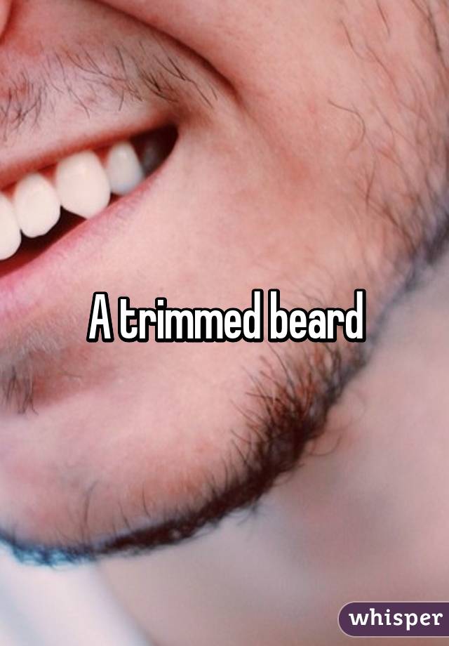 A trimmed beard