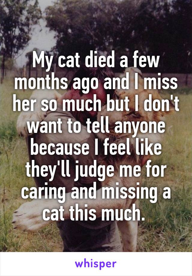 My cat died a few months ago and I miss her so much but I don't want to tell anyone because I feel like they'll judge me for caring and missing a cat this much. 