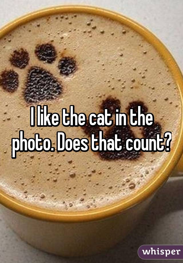 I like the cat in the photo. Does that count?
