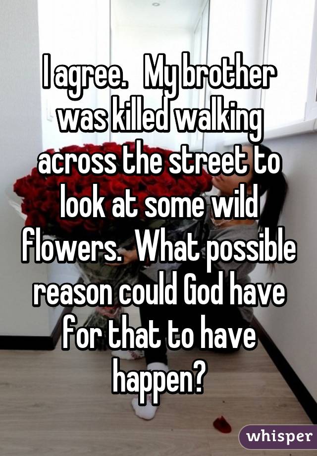 I agree.   My brother was killed walking across the street to look at some wild flowers.  What possible reason could God have for that to have happen?