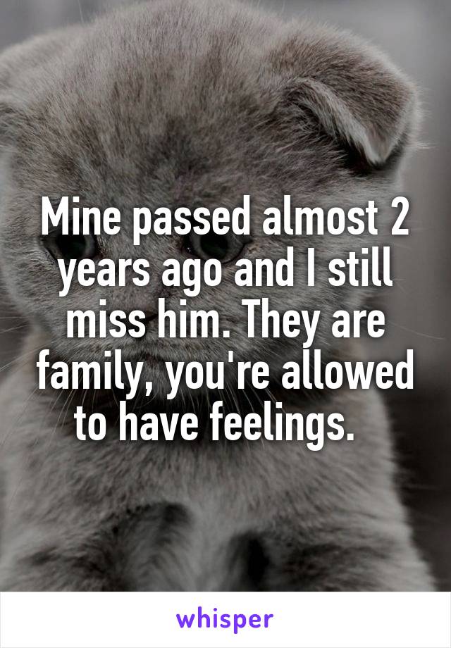 Mine passed almost 2 years ago and I still miss him. They are family, you're allowed to have feelings.  