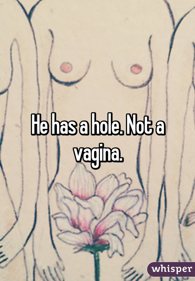 He has a hole. Not a vagina.