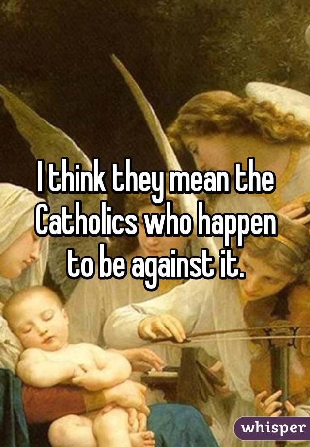 I think they mean the Catholics who happen to be against it.