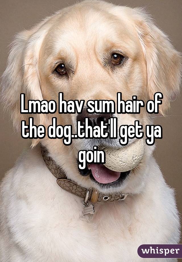 Lmao hav sum hair of the dog..that'll get ya goin